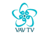 VAV TV logosu